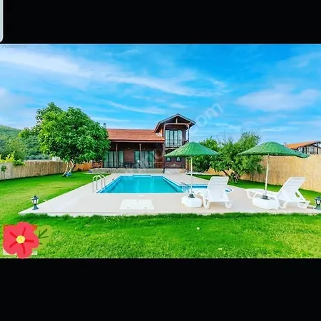 Linatreehouse 4*