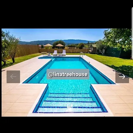 Hotel Linatreehouse