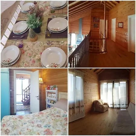 Linatreehouse ムーラ