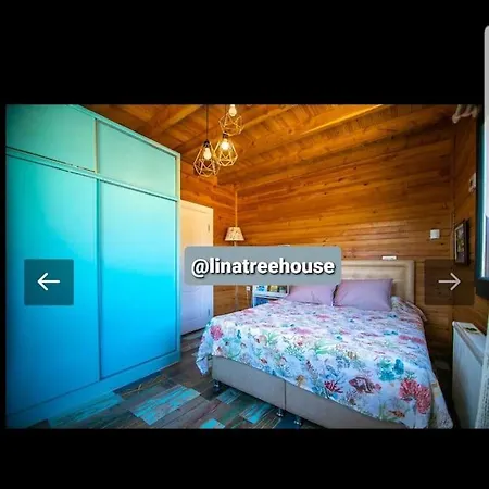 ホテル Linatreehouse