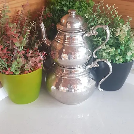 Hotel Linatreehouse Muğla