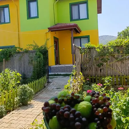 Hotel Linatreehouse