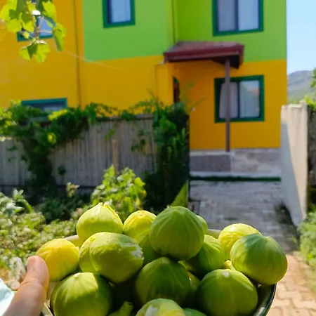 Linatreehouse 4* Muğla